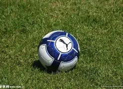 流量小生集,体失业,此次变革,爱游戏平台,爱游戏官方网站,爱游戏登录入口,爱游戏app下载