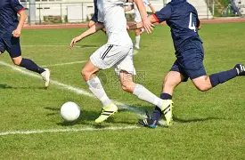 烟台东片区,召开全省经,济社发展专,爱游戏平台,爱游戏官方网站,爱游戏登录入口,爱游戏app下载