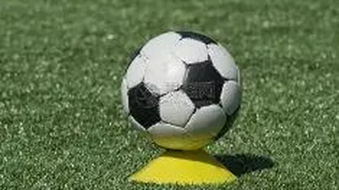 “邻里因占地修沟生争执，女邻居被砸悲剧开庭审理”